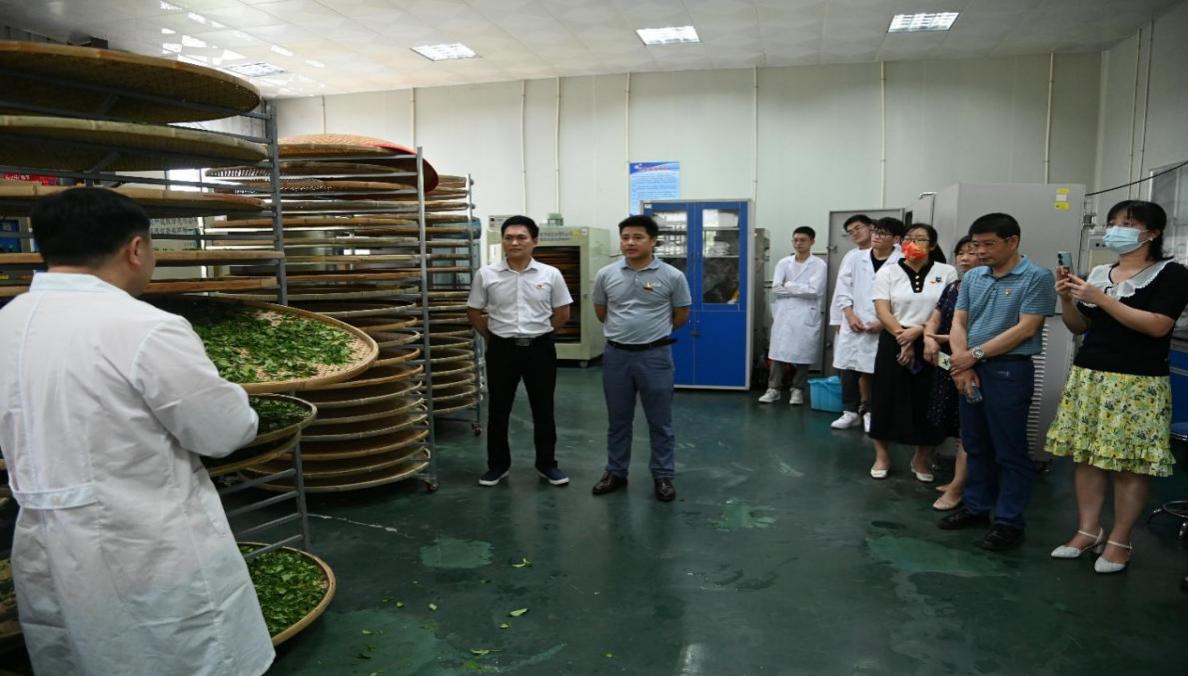 说明: C:\Users\Administrator\Desktop\“全面贯彻党的教育方针，办好人民满意的教育”主题党日活动 20230601\活动照片\制茶实践现场照片1.jpg